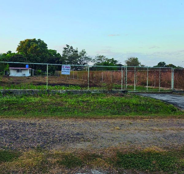 Lote Llano Grande Antón Portada