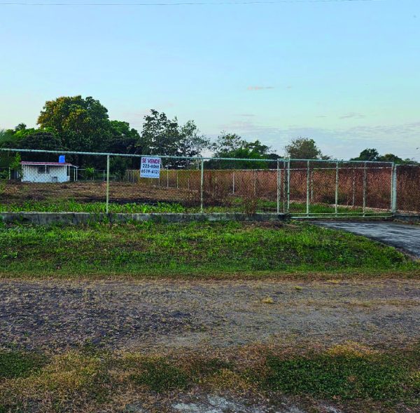 Lote Llano Grande Antón Portada