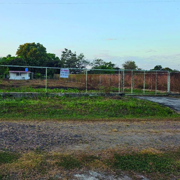 Lote Llano Grande Antón Portada