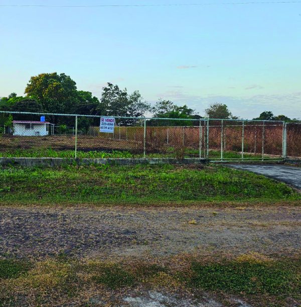 Lote Llano Grande Antón Portada