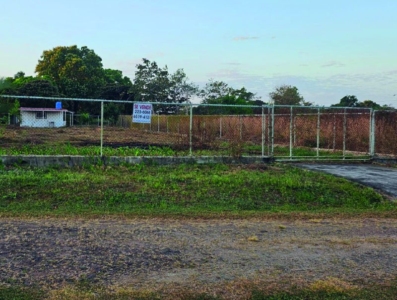 Lote Llano Grande Antón Portada